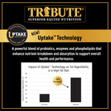 Tribute® Synergize™ Feed  50 lb