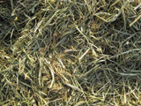 Triple Crown® Stressfree®  Forage - 40 lbs