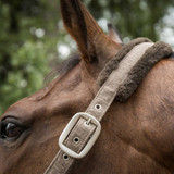 Back On Track® Haze Collection Halter