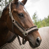 Back On Track® Haze Collection Halter