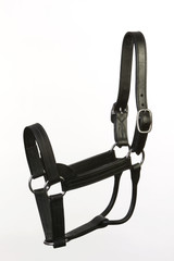 Stallion Halter - Black Leather