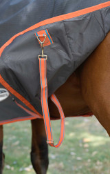 Weatherbeeta® ComFiTec™ Essential Plus Detach-A-Neck Turnout Blanket - Medium