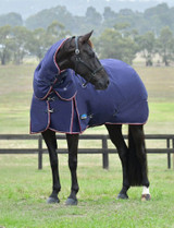 Weatherbeeta® ComFiTec™ Essential Plus Detach-A-Neck Turnout Blanket - Medium