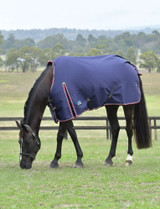 Weatherbeeta® ComFiTec™ Essential Turnout Standard Neck Blanket - Medium