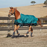 Saxon Defiant Turnout Blanket 1200 Denier (Medium)