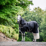Amigo® 1200D Plus Turnout Blanket (250g Medium)