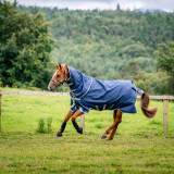 Amigo® 1200D Plus Turnout Blanket (250g Medium)