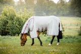 Amigo® Bug Buster Fly Sheet with No-Fly Zone