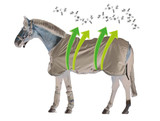 Amigo® Bug Buster Fly Sheet with No-Fly Zone