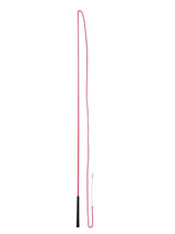 Pro Lunge Whip  - 7 ft