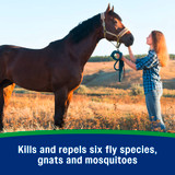 Wipe® II Fly Spray with Citronella - Quart