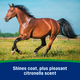 Wipe® II Fly Spray with Citronella - Quart