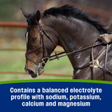 Farnam® Apple Elite™ Paste 60 cc