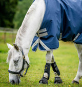 Amigo® 1200D Original Turnout Sheet (0g Lite)