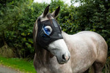 Equilume® Pro Light Mask (Rechargable)