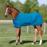 UltraFlex® Foal Saver® Blanket - Large