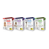 Provecta® Advanced for Dogs - 4 month supply