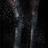 iNCREDWEAR Equine Hock Sleeve Pair