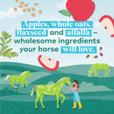 Honest To Goodness™ Upcycled Horse Treats 2 lb Bag