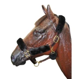 ARMA SupaFleece Halter Set