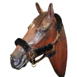 ARMA SupaFleece Halter Set