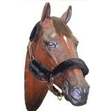 ARMA SupaFleece Halter Set