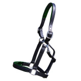 Padded Halter with English Chin & Throat Snap