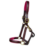 Padded Halter with English Chin & Throat Snap