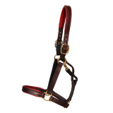 Padded Halter with English Chin & Throat Snap