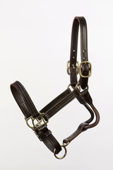 Short Yearling Size Sale Halter - Adjustable Chin Triple Stitched Nose