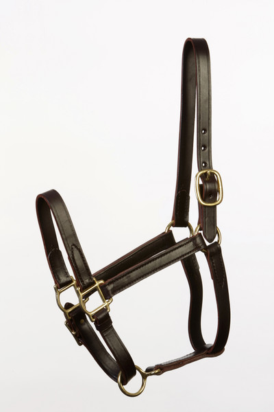 Horse Size Turnout Halter - Adjustable Chin