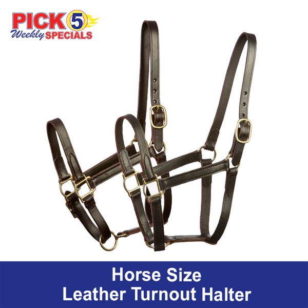 Horse Size Turnout Halter - English Chin.  On Sale 2/1 - 2/14/26.