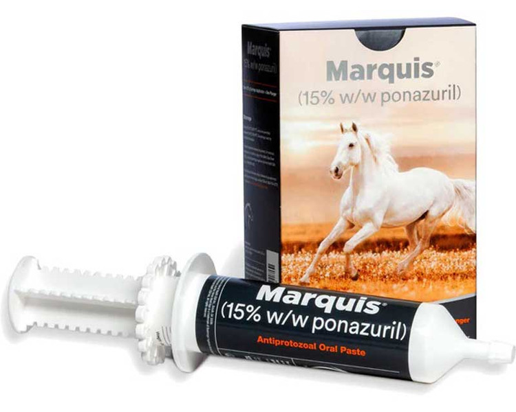 Marquis® Paste (Rx) - Single Tube
