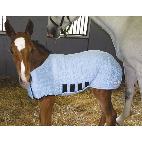 UltraFlex® Foal Saver® Blanket - Large
