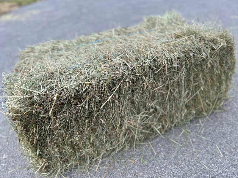 Kentucky Grass Hay - Two String