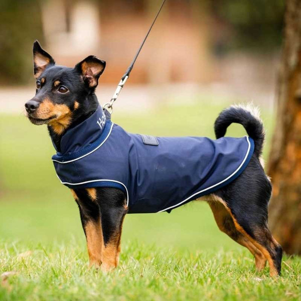 Horseware® Signature Dog Rain Coat (No Fill)