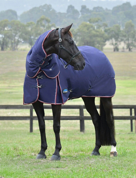 Weatherbeeta® ComFiTec™ Essential Plus Detach-A-Neck Turnout Blanket - Medium
