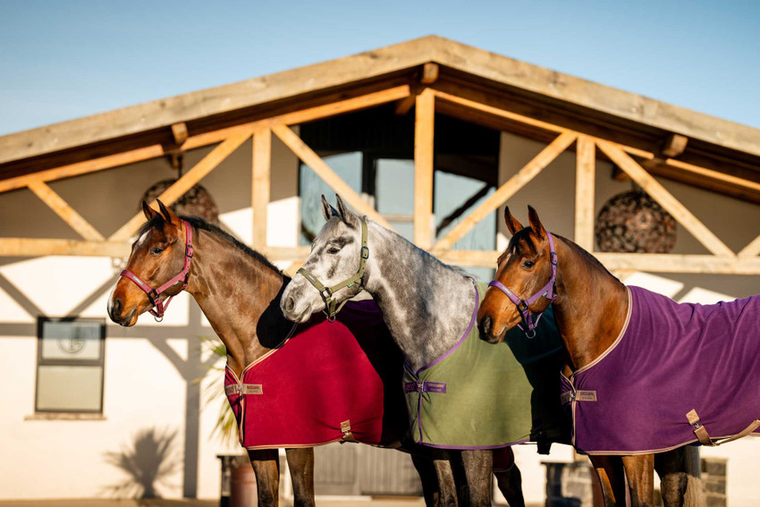 Amigo® Fleece Cooler