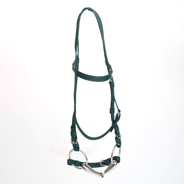 Nylon Headstall - Hunter