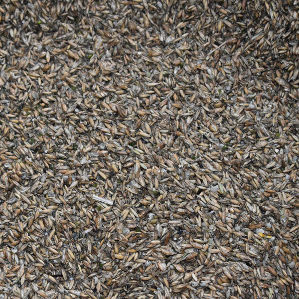 Heritage Organics Horse Feed 12% 50 lb