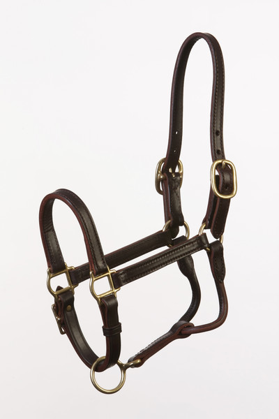 Foal Size Sale Halter - Adjustable Chin - Regular Nose