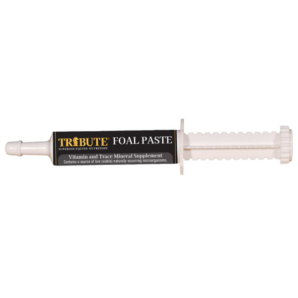 Tribute® Foal Paste - 30 mL