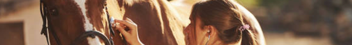 Shop Equine Pharmacy