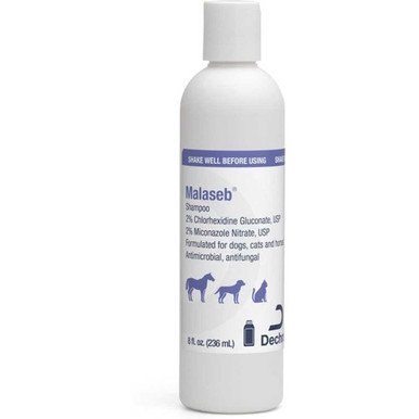 Malaseb® Medicated Shampoo KBC International