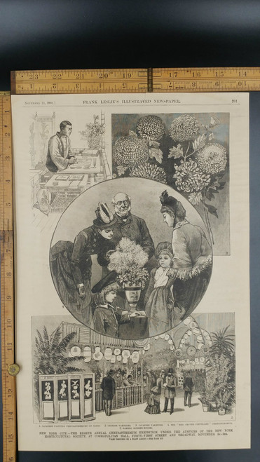 Eighth Annual Chrysanthemum Exhibition, New York Horticulture Society Cosmopolitan Hall from 1886. Victorian Girl. Bamboo Summer House. The Mrs. Grover Clevland Chrysanthemum.