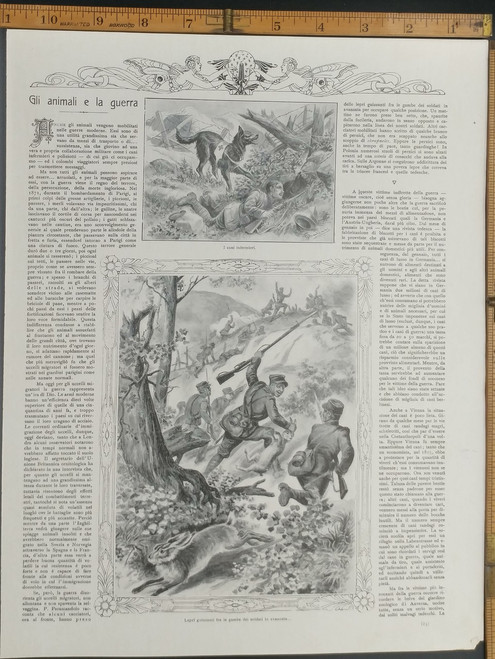 WWI the animals and the war. Red cross dog. Hares darting between the legs of the soldiers. Original Antique Print 1916.
