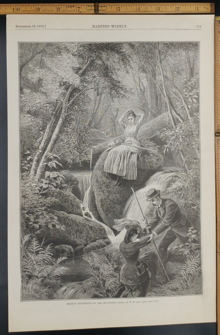 Holiday Excursions in the mountains drawn by W.M. Cary. Pretty women in the forest. Original Antique Print 1878.