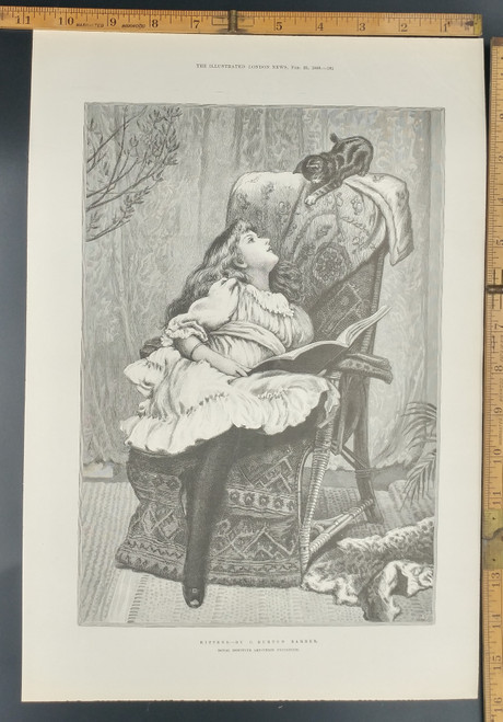 Kittens by C. Burton Barber at the Royal Institute. A pretty young girl and her cat. Reading a book in a chair. Original Antique Print 1888.
