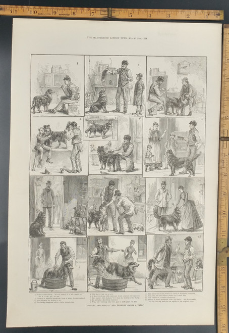 Bought and sold, Thereby hangs a tale. Dog humor. A fake tale. Original Antique Print 1888.
