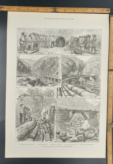 Transport of trees in the forests of the Himalayas. Coolies with a large log. Mr. McDonnell's Slide. Bridge across the Bakani Nullah. Original Antique Print 1888.